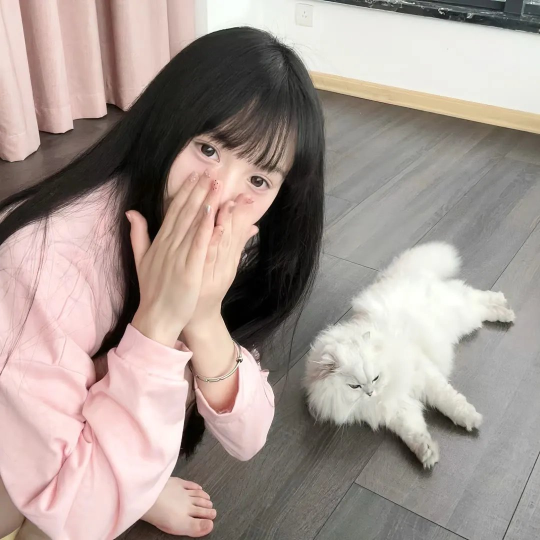 摘星的女人粤语