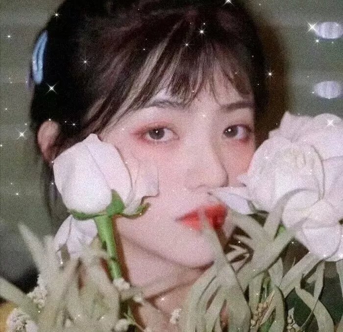 比翼双飞