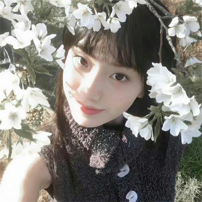 蝴蝶夫人的现代家庭